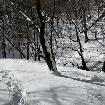 山伏・八紘嶺・笹山 今日はさほど雪は深くなく、まあまあ歩けるけど
出発時間が遅いから何となく焦る。
そしてギアなとがしっくり来ないのでイラ💢
実は今回も諦めようとした…ヘタレ。
しばらくバディと逆方向を歩く時間も…😢
でも時間を気にしないと言うルールをもう一度自分の中で確認し、負けず嫌いの自分とで気持ちを切り替えました。いつでも優しいバディ…ありがとう。