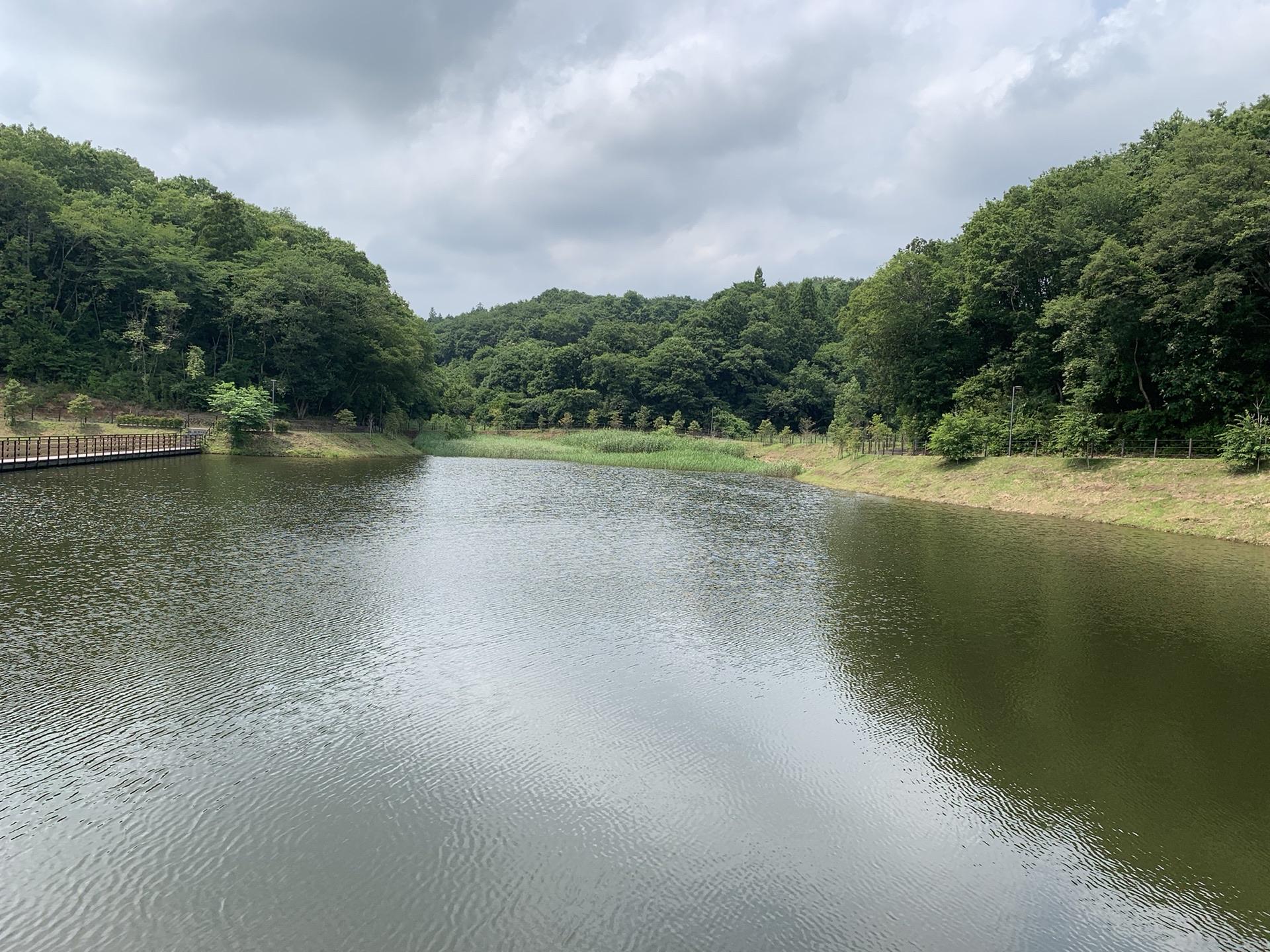 ふくちゃんの森公園 / とうさんぽさんの焼森山・鶏足山の活動日記 | YAMAP / ヤマップ