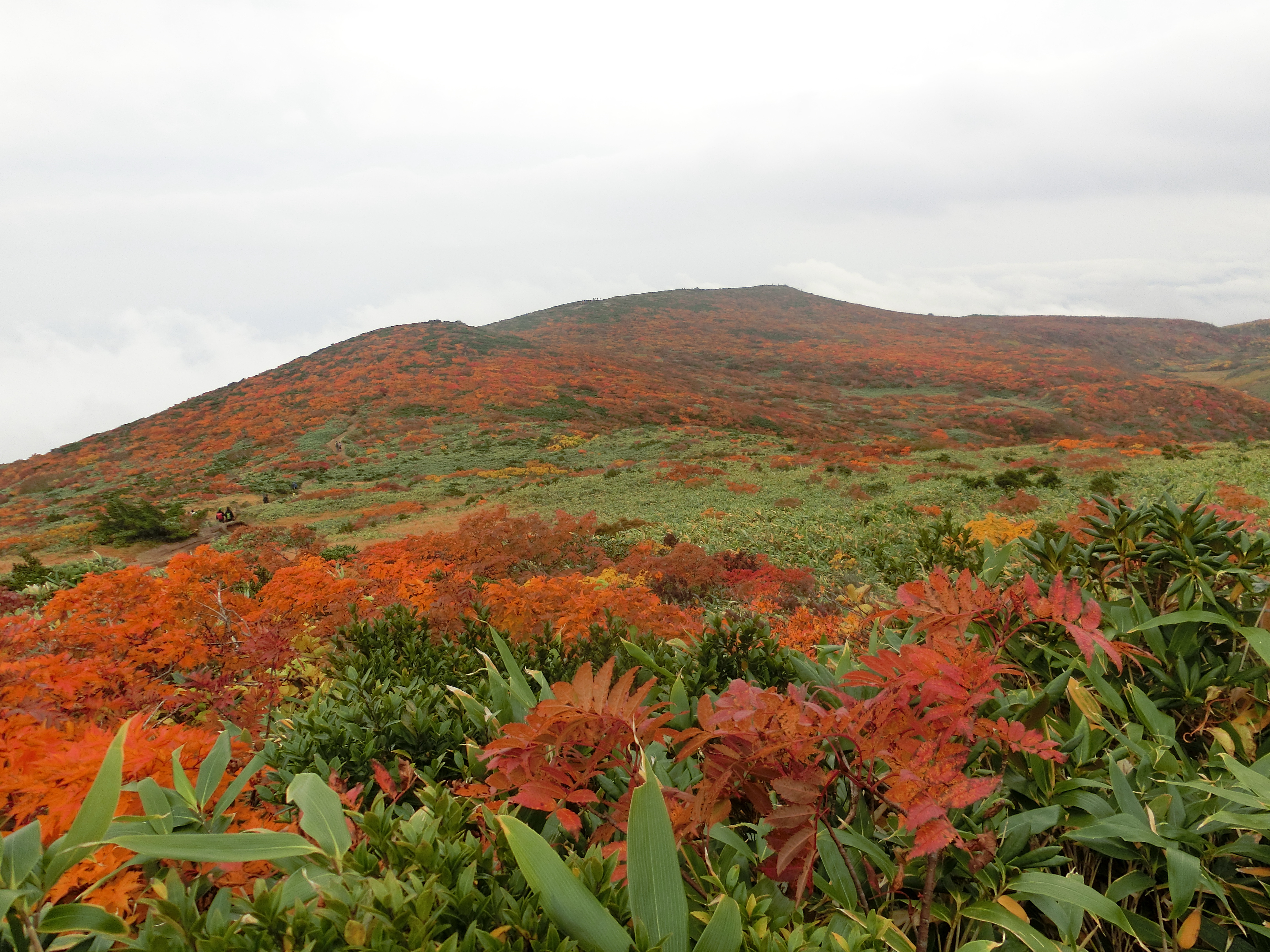 いわかがみ平駐車場から栗駒山 和名倉山の住人さんの栗駒山 須川岳 秣岳 虚空蔵山の活動データ Yamap ヤマップ