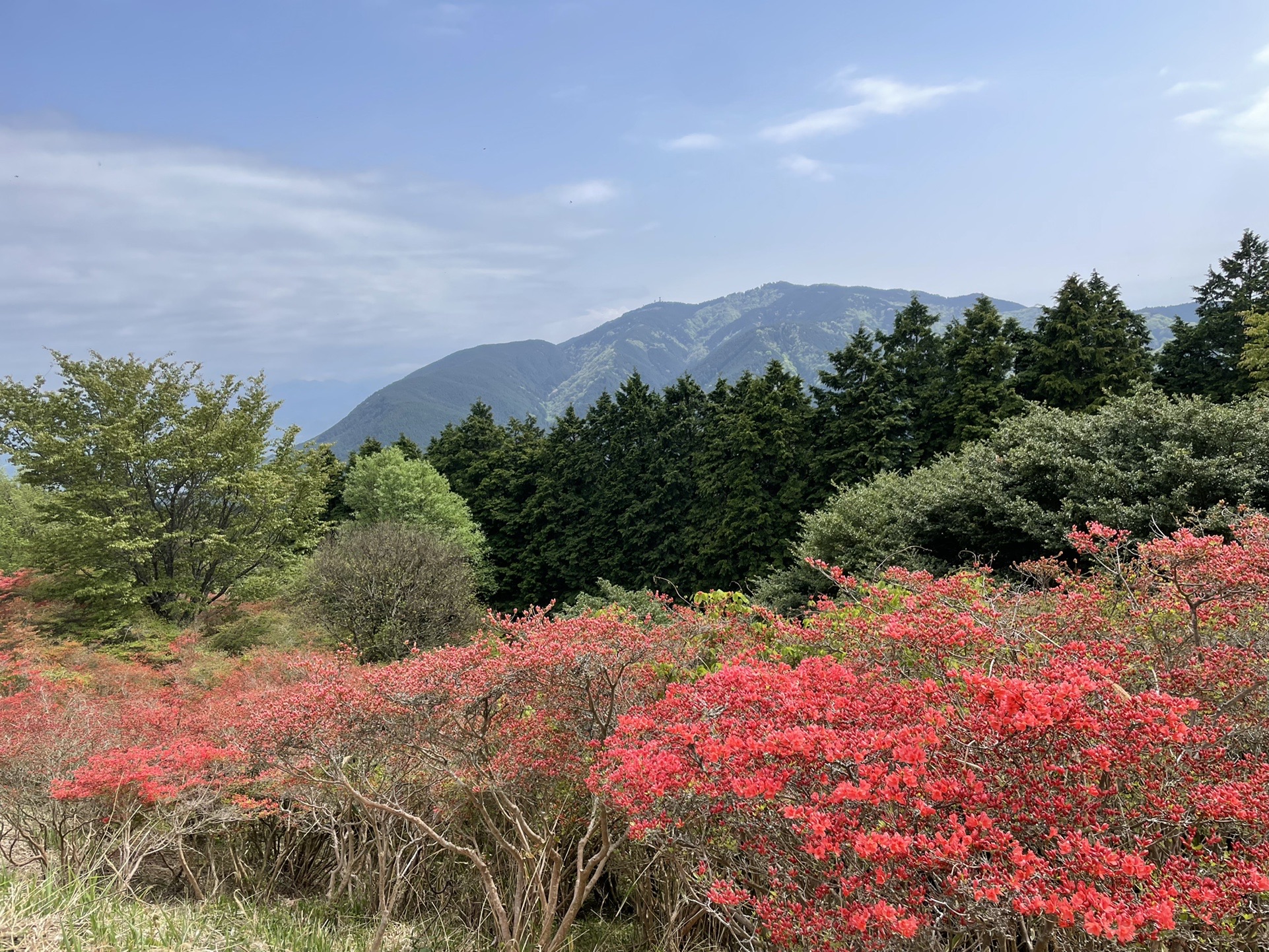 黒船さんに会いたくて 大和葛城山 Otaksaさんの金剛山 二上山 大和葛城山の活動データ Yamap ヤマップ