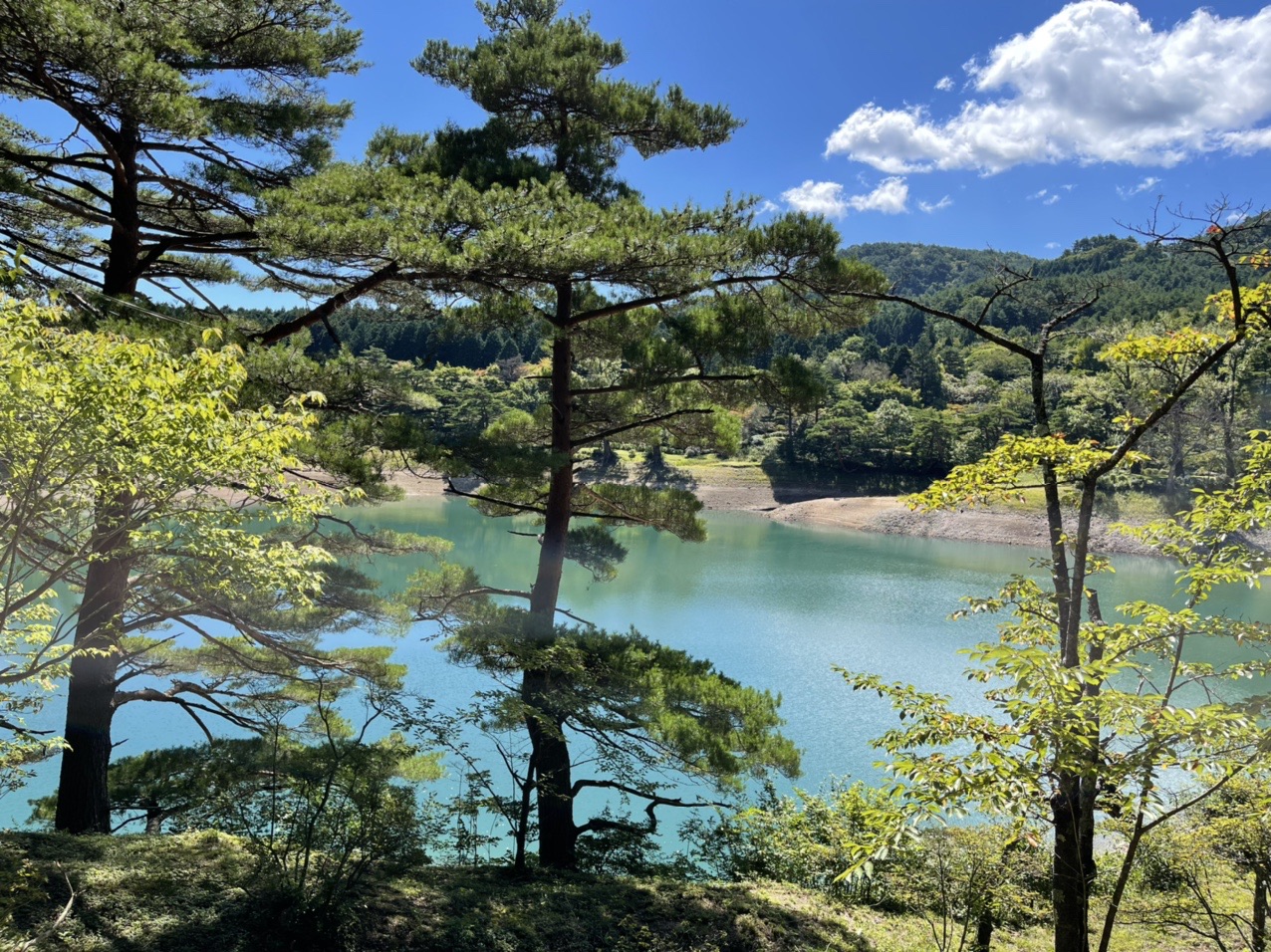 半田沼からの半田山 Yoshiさんの半田山 萬歳楽山の活動データ Yamap ヤマップ