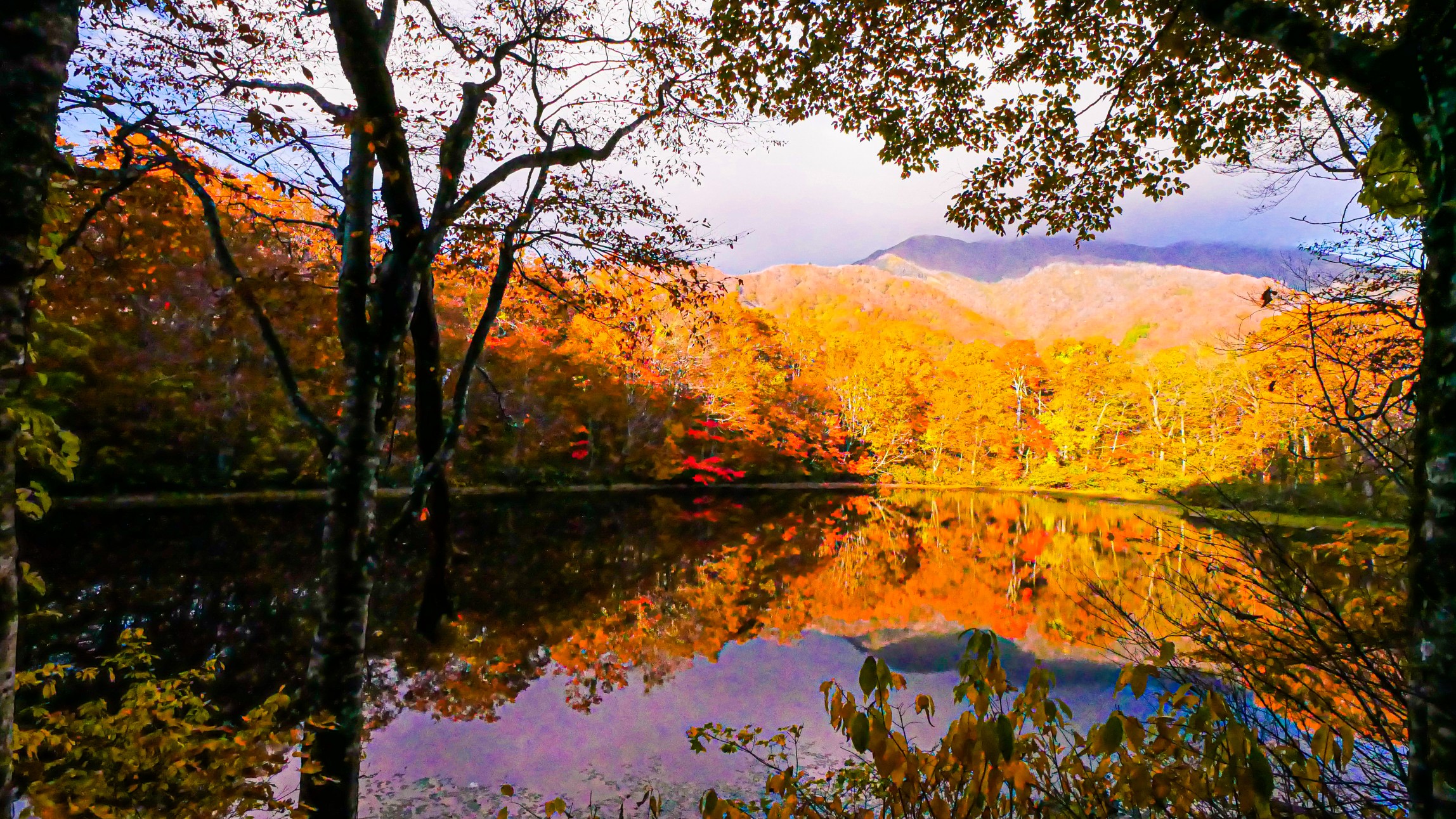 真っ赤な紅葉 刈込池 35さんの赤兎山の活動データ Yamap ヤマップ