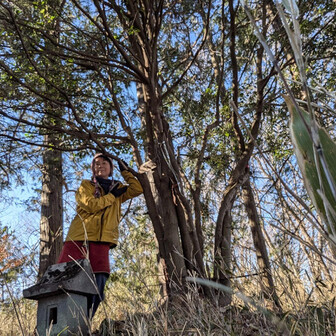 両崖山・仙人ヶ岳・石尊山 杉林をジグザクと
ふた登りでエラソーな名前の山頂
見晴らし弱いけど