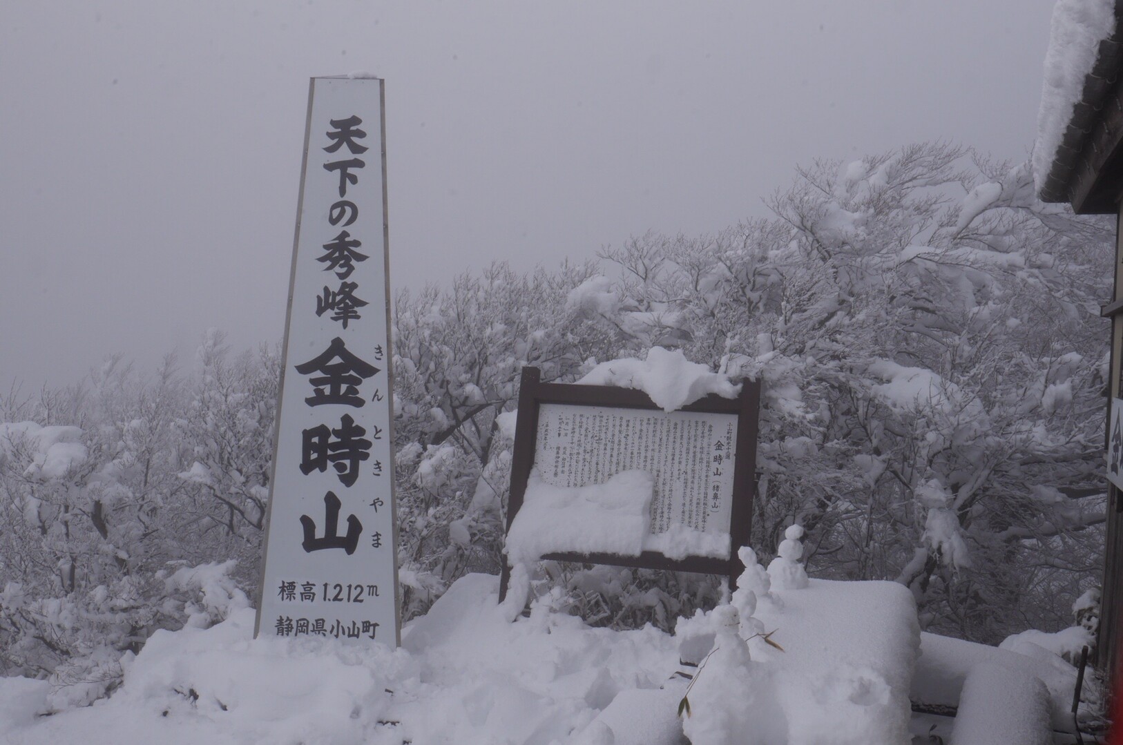 雪の金時山 03 15 すすむさんの金時山 明神ヶ岳の活動データ Yamap ヤマップ