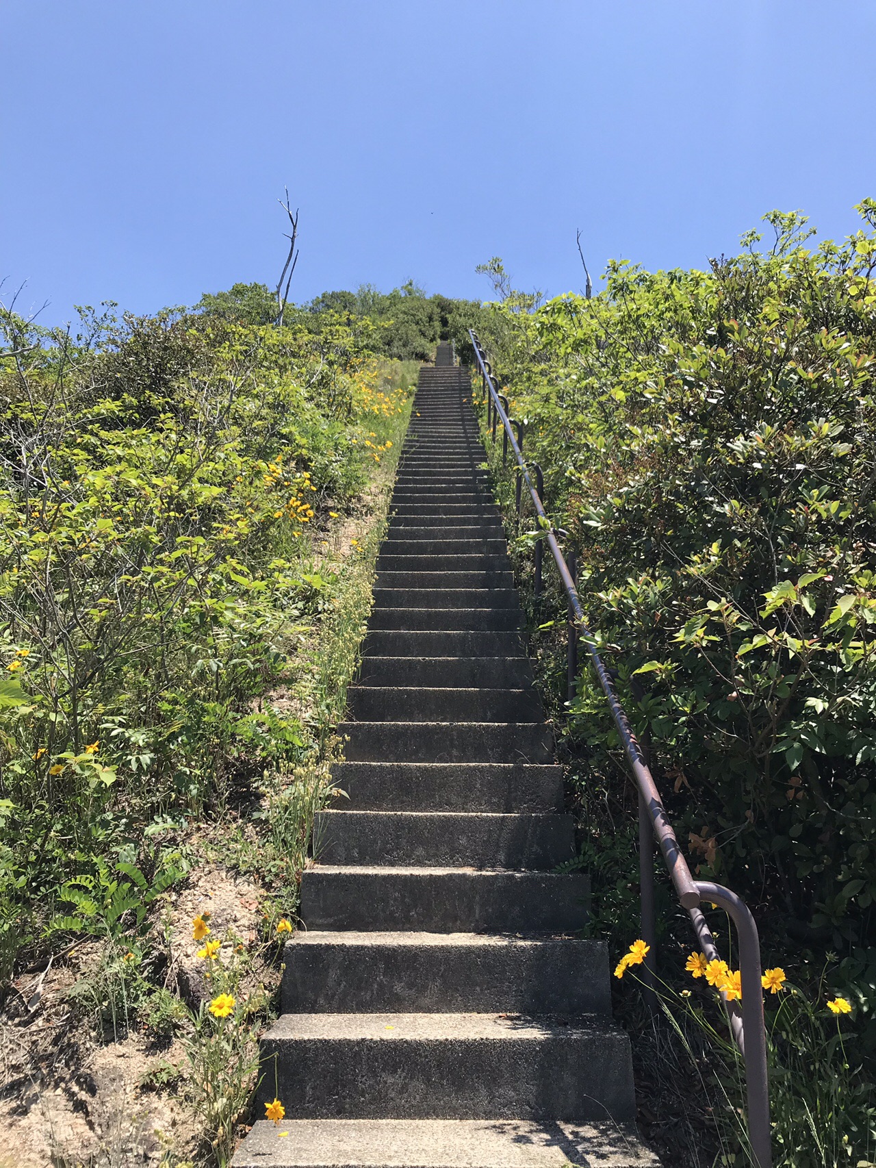 須磨アルプス In兵庫 花散里 まい さんの六甲山 長峰山 摩耶山の活動日記 Yamap ヤマップ