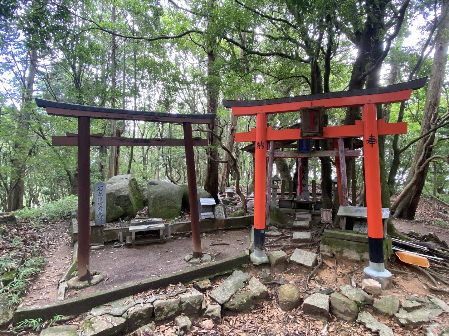 摩耶山 摩耶別山 しのひろさんの六甲山 長峰山 摩耶山の活動日記 Yamap ヤマップ