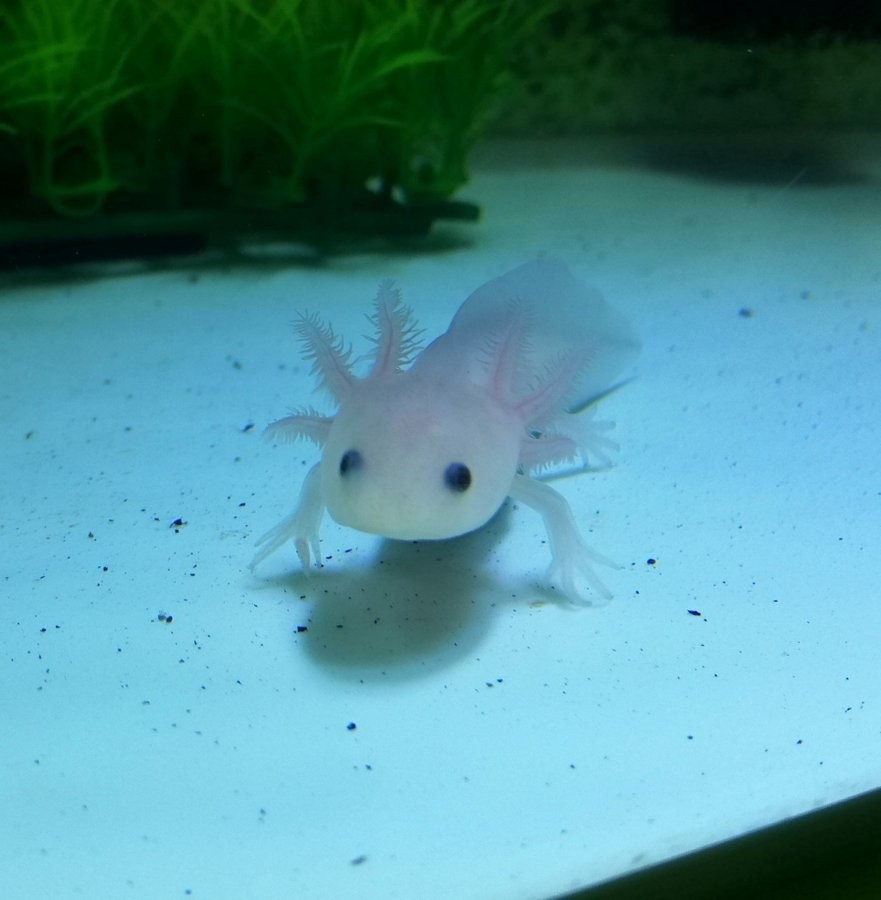 2 28 自宅にて まさやんさんの観光の活動日記 Yamap ヤマップ