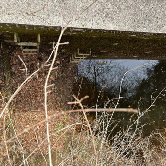 六甲山・長峰山・摩耶山 これは降りない