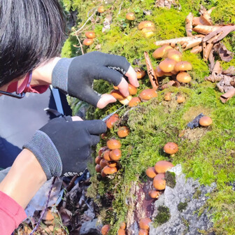 左門岳 またあった！