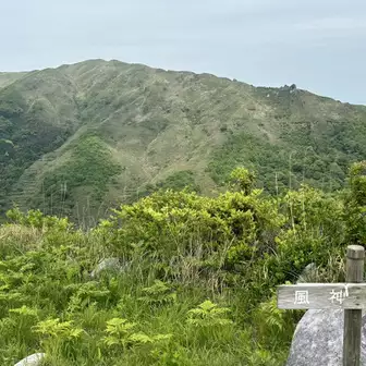登り切って💦
風神山⛰️
またまた天狗岩🪨からの
トラバース道見える
左の濃ゆい所は竹林、前回疲れ果て
座り込んだわ