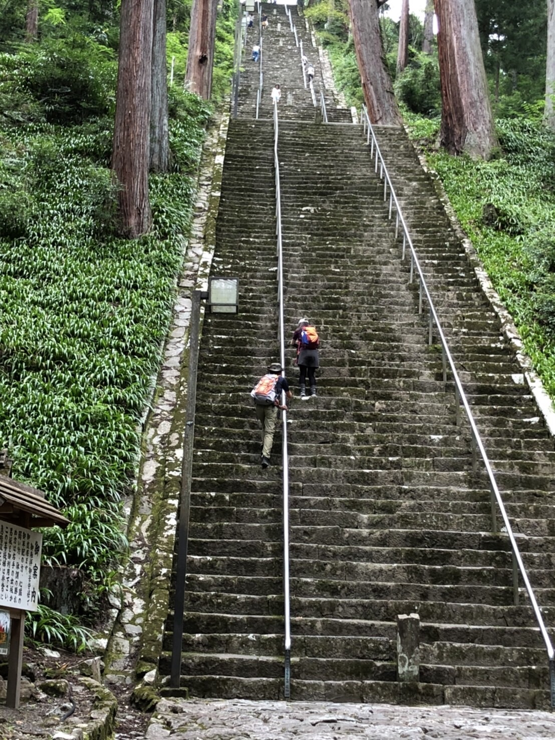 身延山 辛すぎる 最後の最後にこの石段を登るなんて あっこさんの七面山 身延山の活動データ Yamap ヤマップ