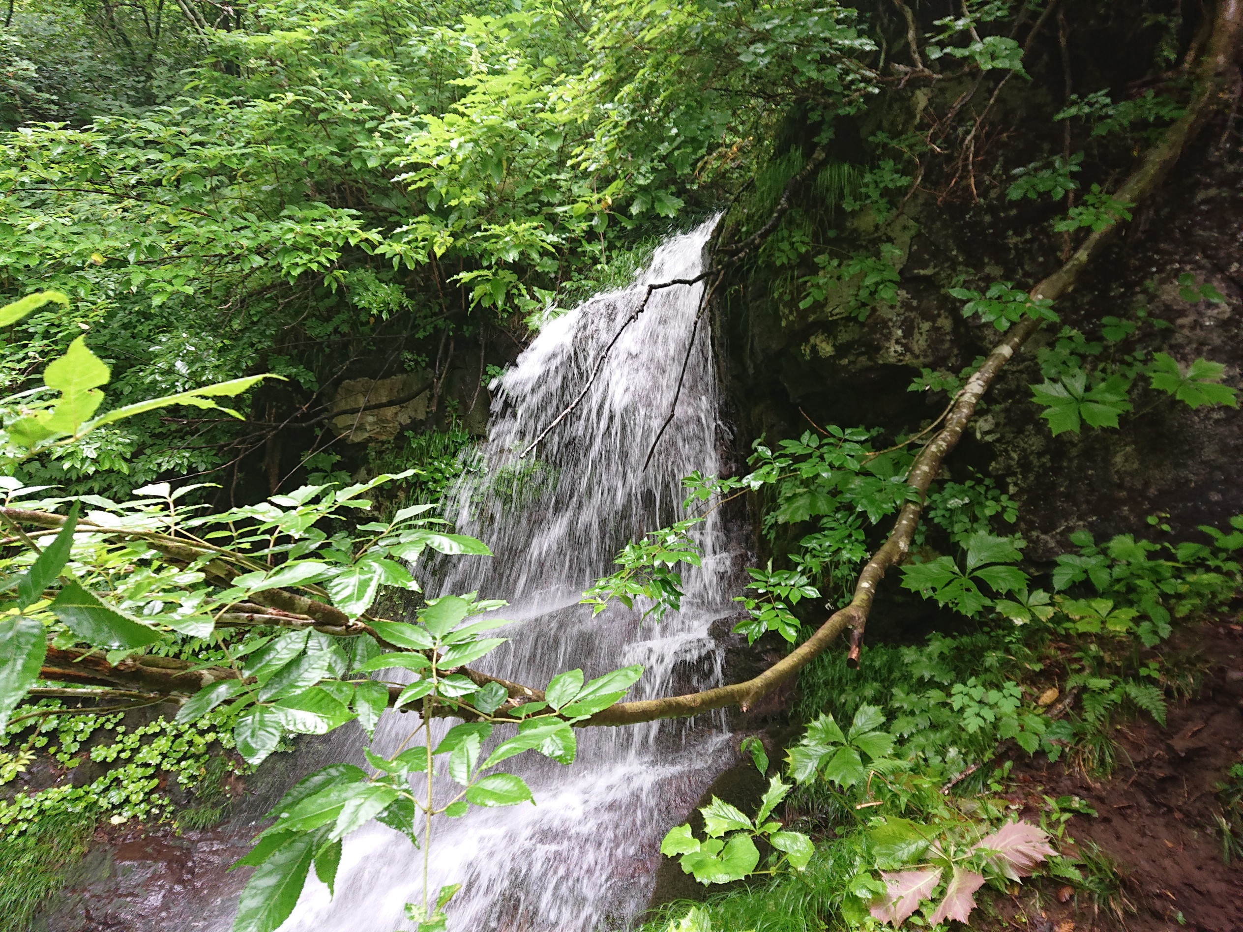 The 4100d マウンテントレイルin野沢温泉 19 Zillさんの野沢温泉スキー場の活動データ Yamap ヤマップ