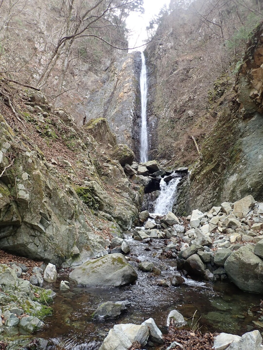 丹沢 神之川水系 伊勢沢 今年初めての... / ちょまさんのモーメント YAMAP / ヤマップ