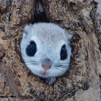 ぶらぶら＠京都