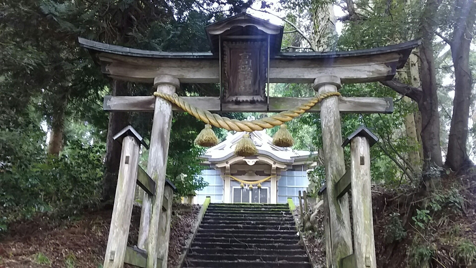 蔵王山 高坂山 02 23 つるぎリハビリ中さんの氷見市の活動日記 Yamap ヤマップ