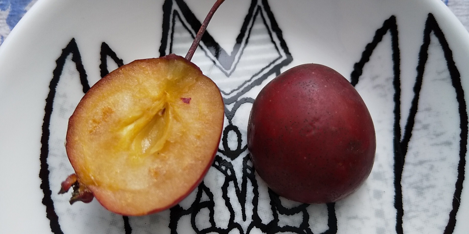 サルビアの蜜を吸いに近くの公園に行ったら ゆうこさんのモーメント Yamap ヤマップ