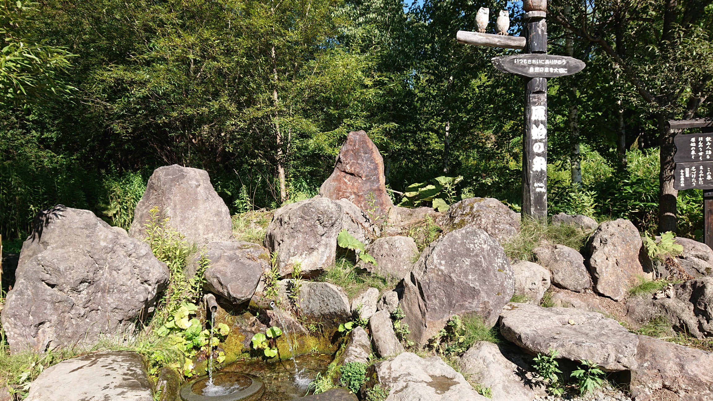 富良野岳 原始ケ原コース くろくま食品 さんの十勝岳 富良野岳 美瑛岳の活動日記 Yamap ヤマップ
