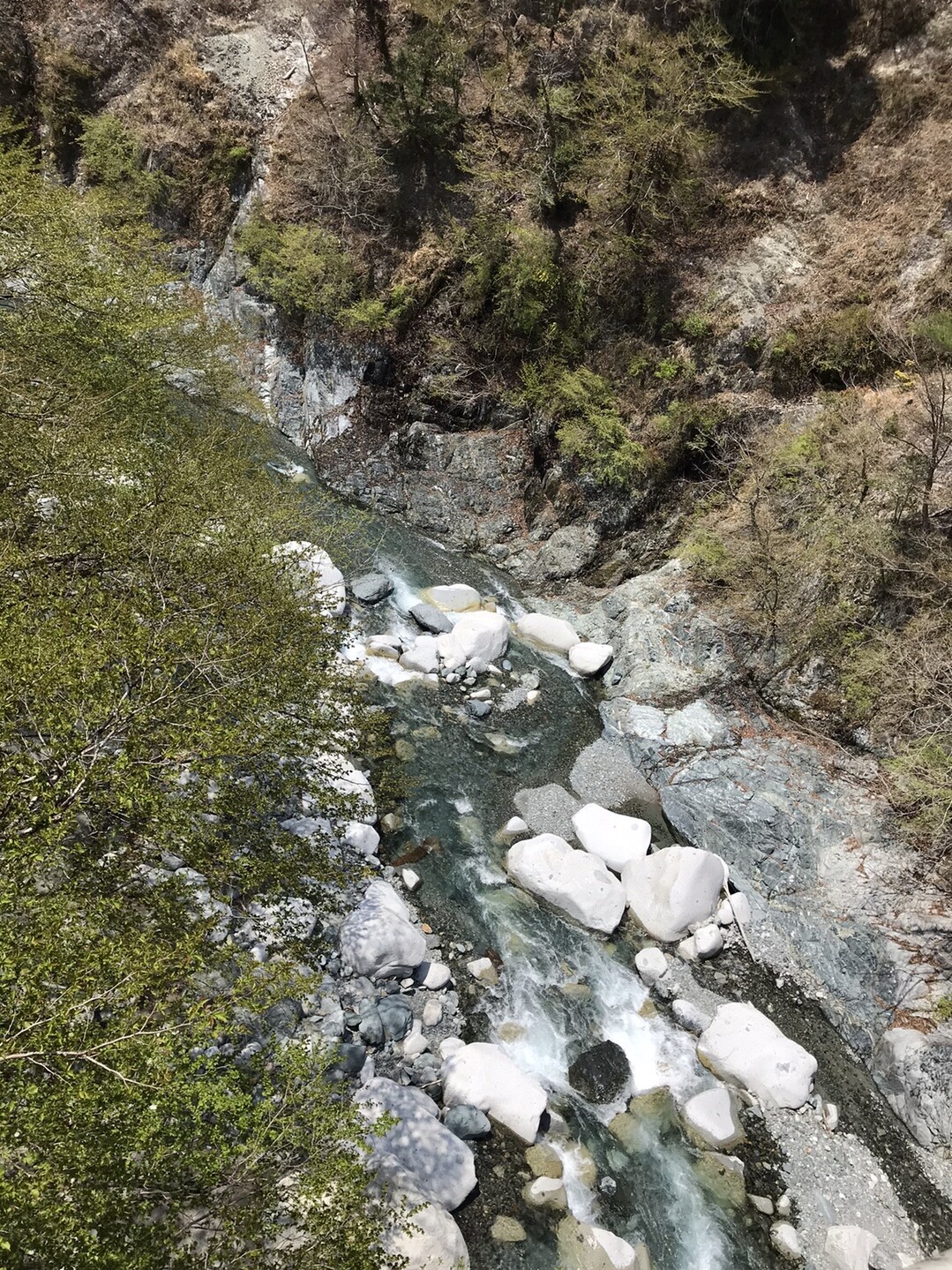 西丹沢県民の森20200408 / いのちゅうさんの大室山・畦ヶ丸山・菰釣山の活動日記 YAMAP / ヤマップ