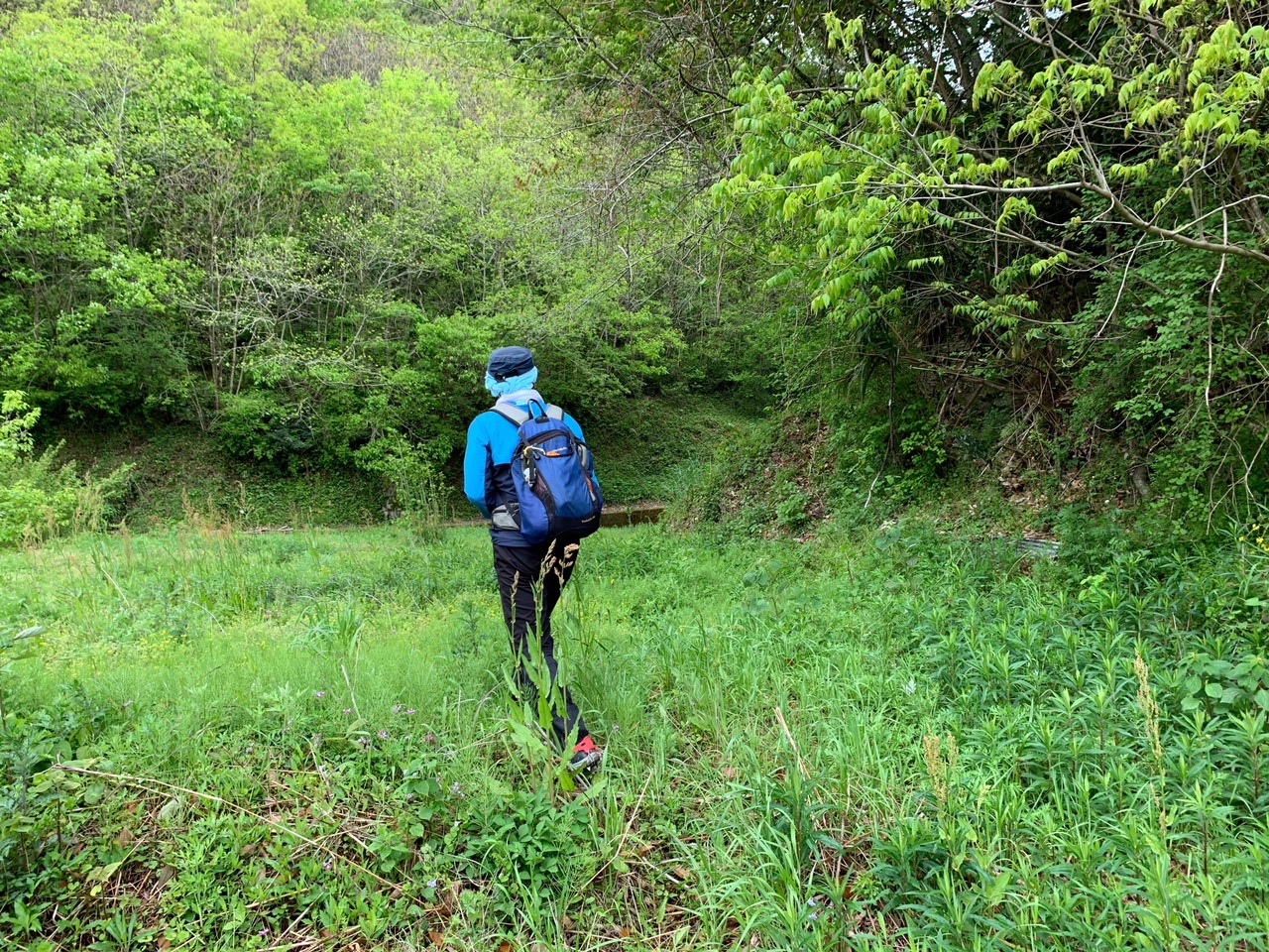 国破れて山河あり Part5 きょうくんさんの四国遍路その14の活動データ Yamap ヤマップ