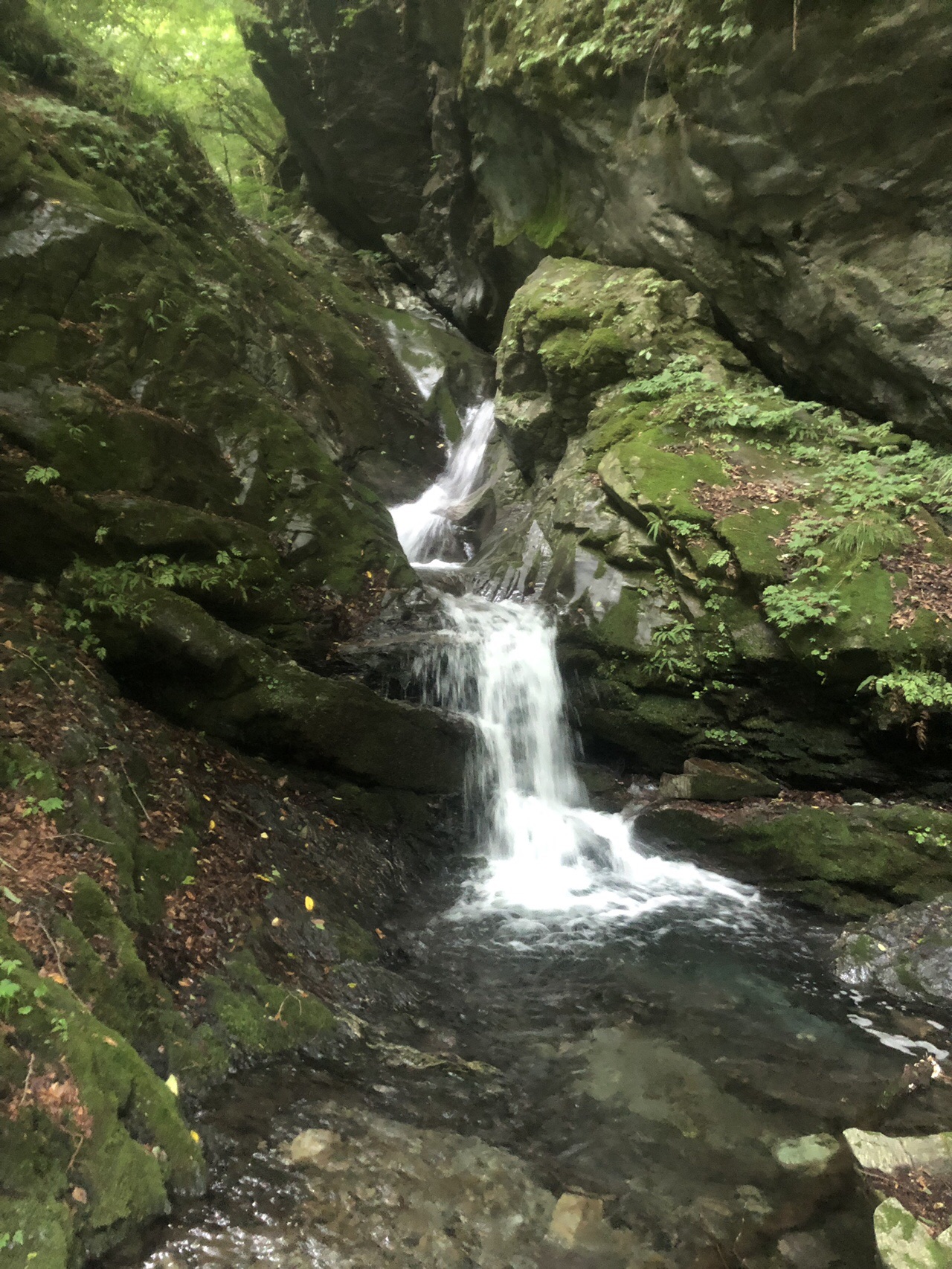 小さな滝めぐり 奥秩父 のりさんの和名倉山 笠取山 東仙波の活動データ Yamap ヤマップ