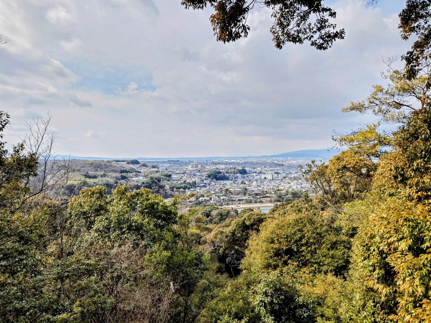 宇治散策🐶 / ももあずさんの大吉山（仏徳山）・喜撰山の活動データ | YAMA…