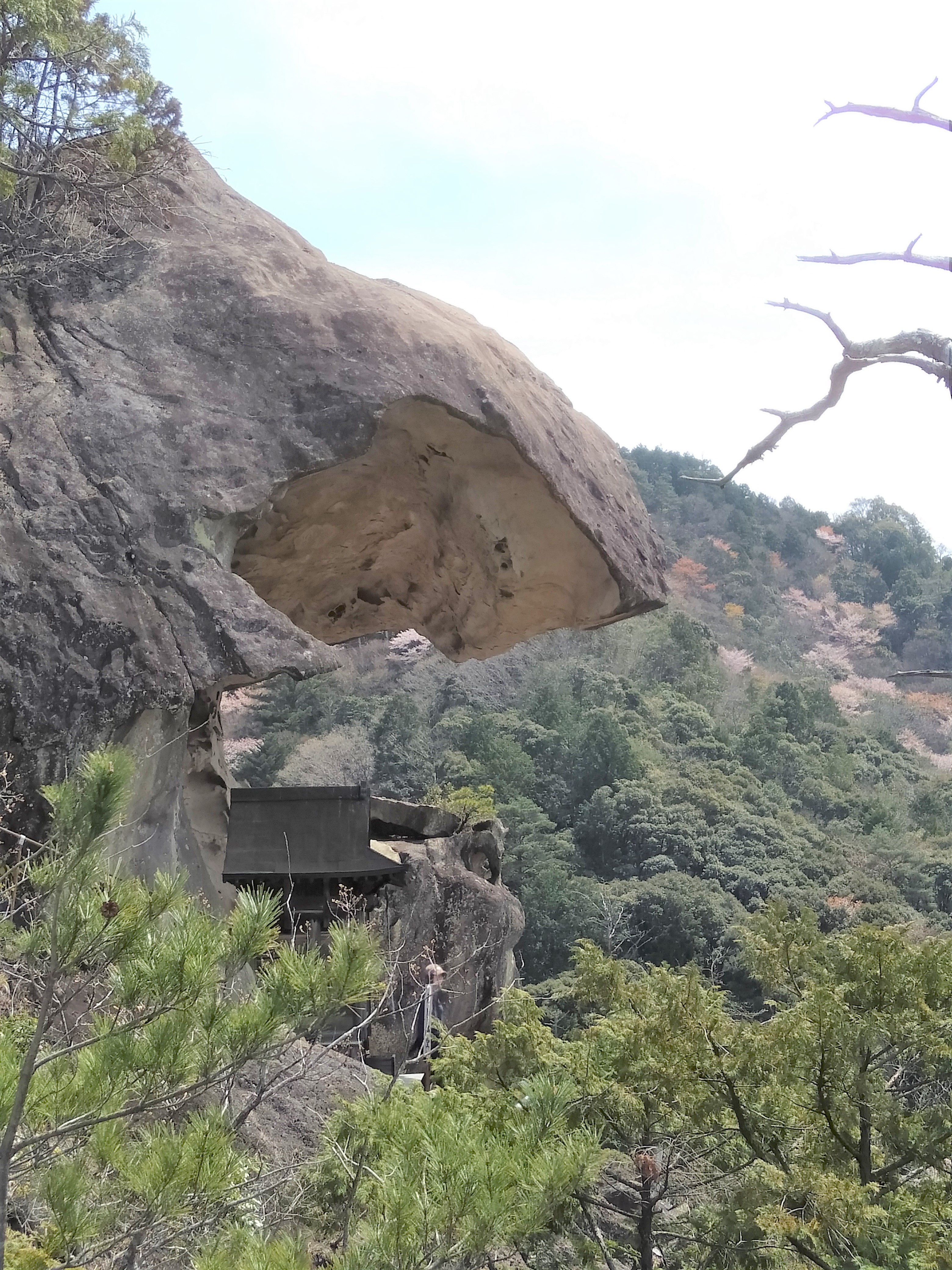 伊勢山上 山岳ロープワーク講習会で勉強 04 07 ゆっきーtakaさんの伊勢山上の活動データ Yamap ヤマップ
