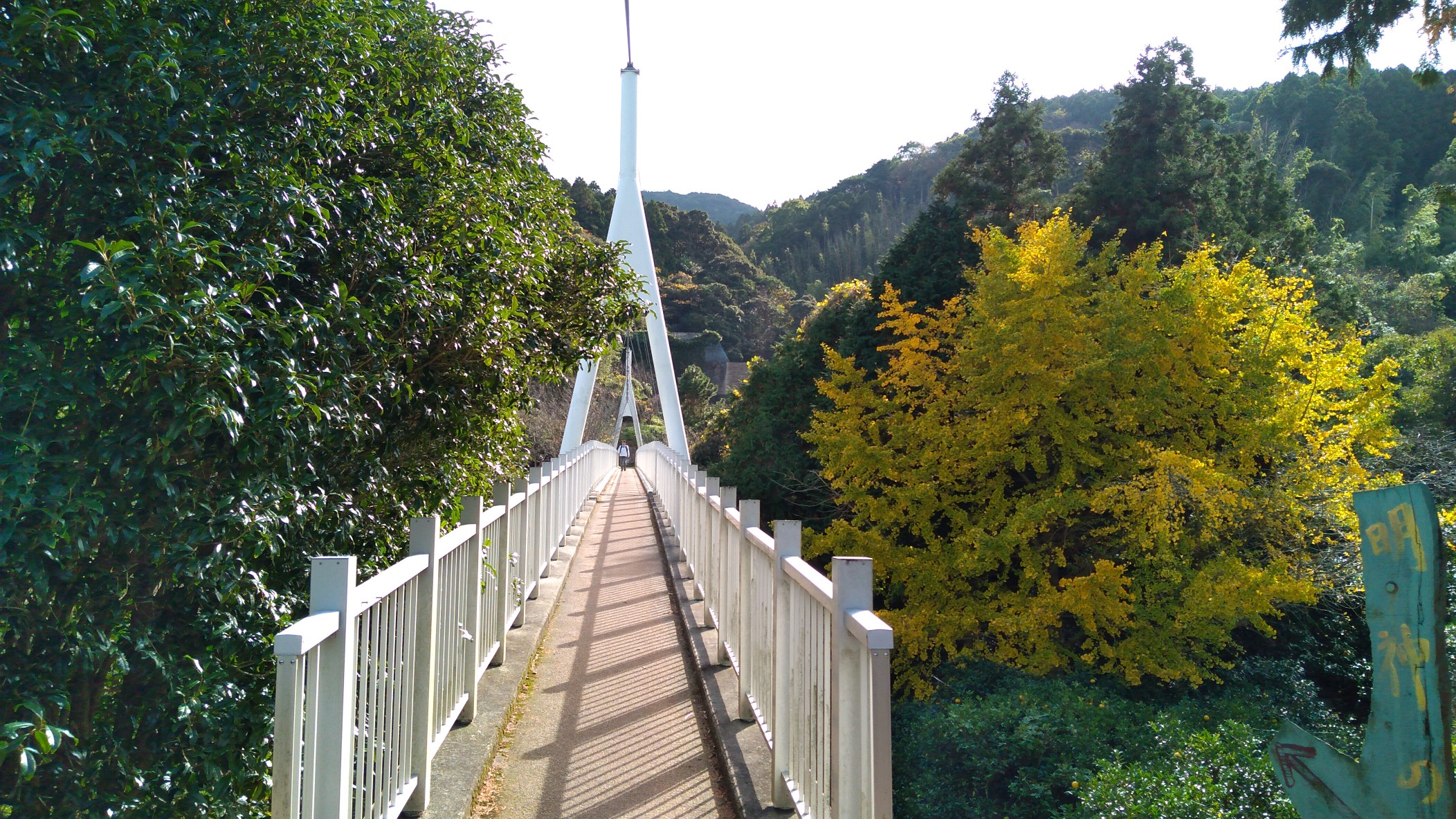 ゆらりんこ橋から二丈岳へ ぷりん さんの二丈岳 十坊山の活動データ Yamap ヤマップ