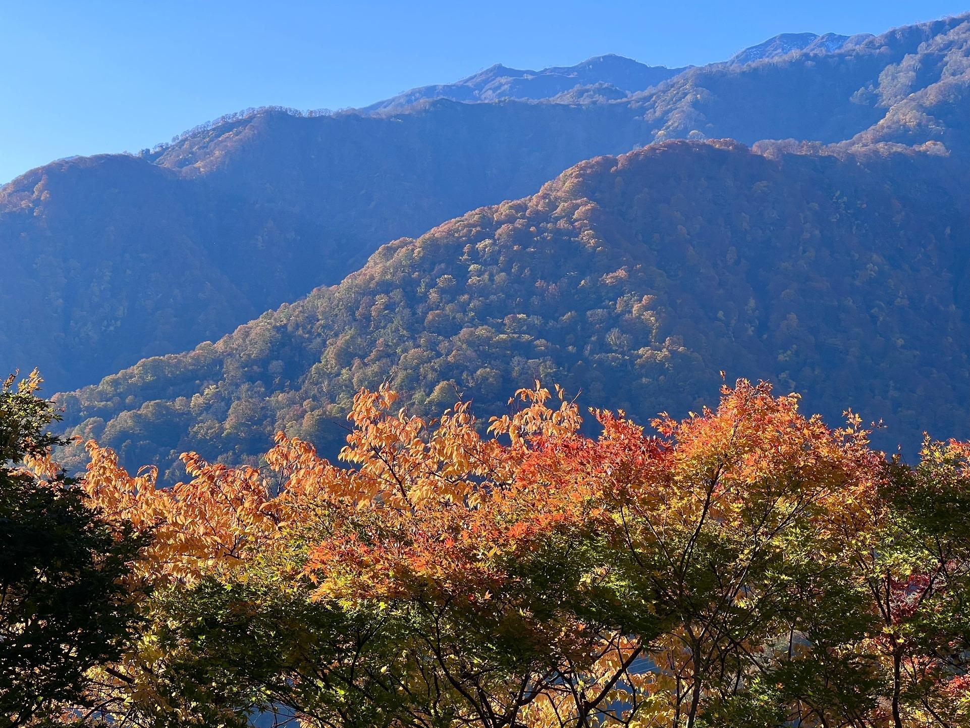 前僧ヶ岳・僧ヶ岳 / 983さんの僧ヶ岳・駒ヶ岳（越中駒ヶ岳）の活動データ YAMAP / ヤマップ
