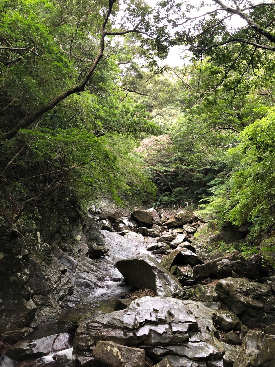 比地大滝キャンプ場 トレッキング 21 11 22 Ai55さんの与那覇岳の活動日記 Yamap ヤマップ