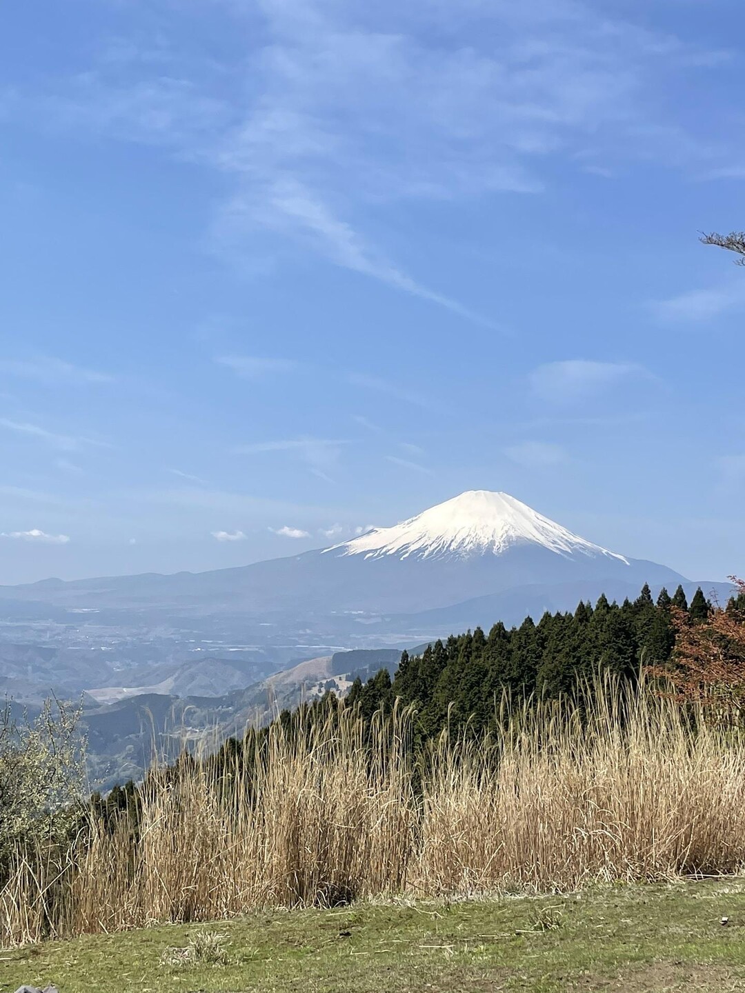 高松山・松田山 / あでこさんの高松山・大野山の活動データ YAMAP / ヤマップ