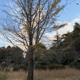 また来年やね🟡