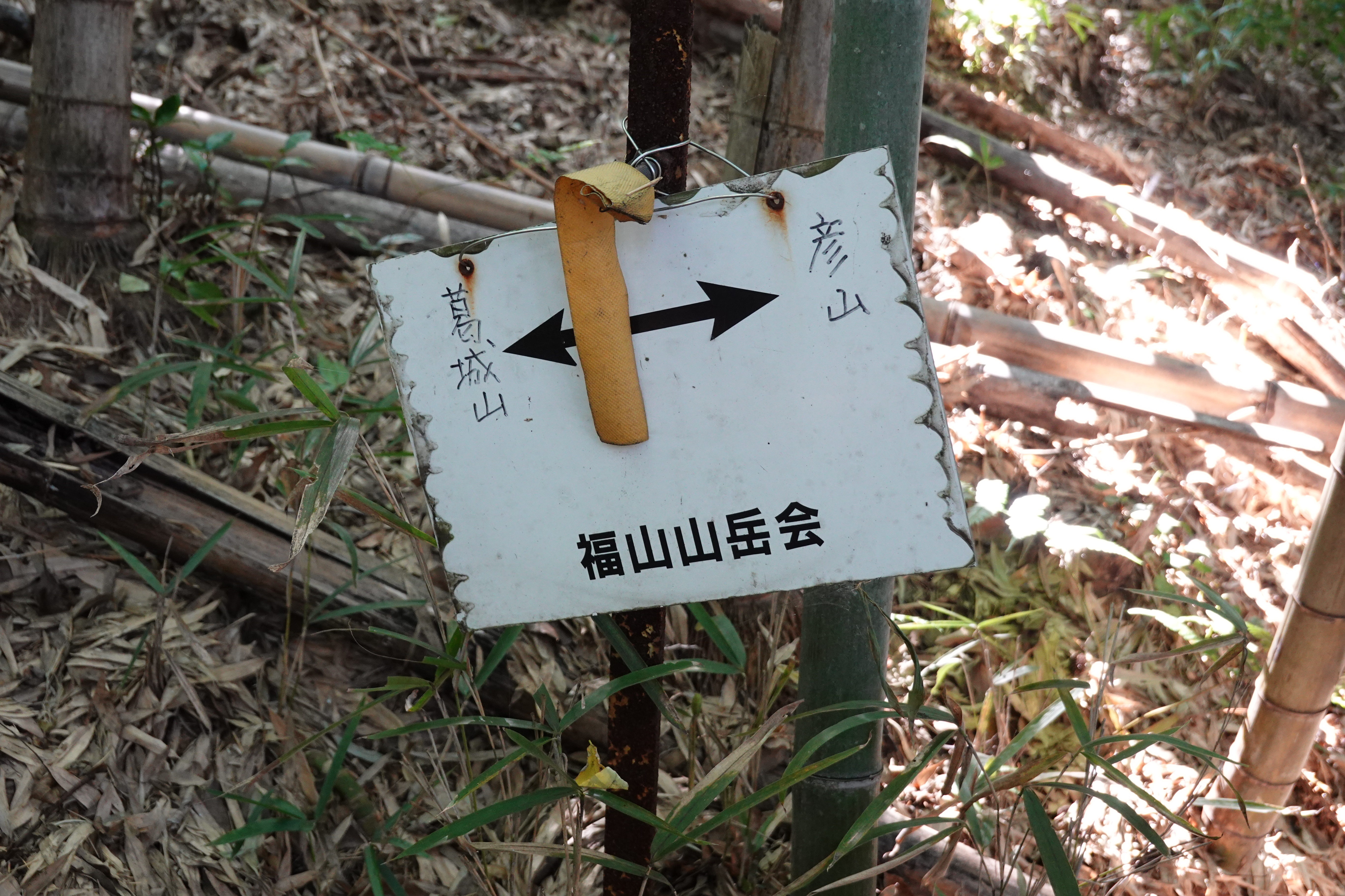 彦山 熊ヶ峰 鞆の浦 沼南アルプス Kanさんの福山市の活動日記 Yamap ヤマップ