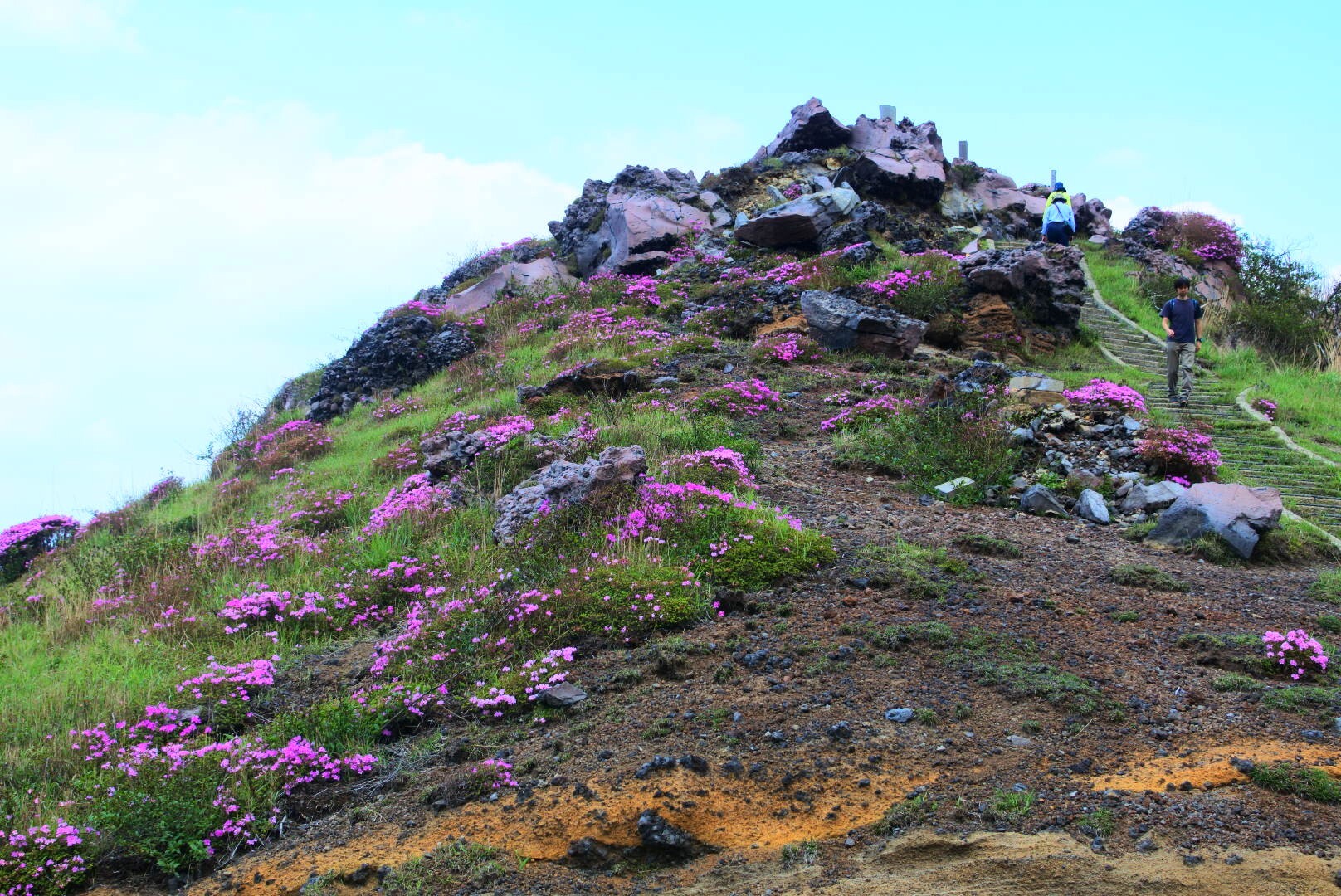 阿蘇山 高岳登山 仙酔峡尾根コース タカ さんの阿蘇山 高岳 根子岳の活動日記 Yamap ヤマップ