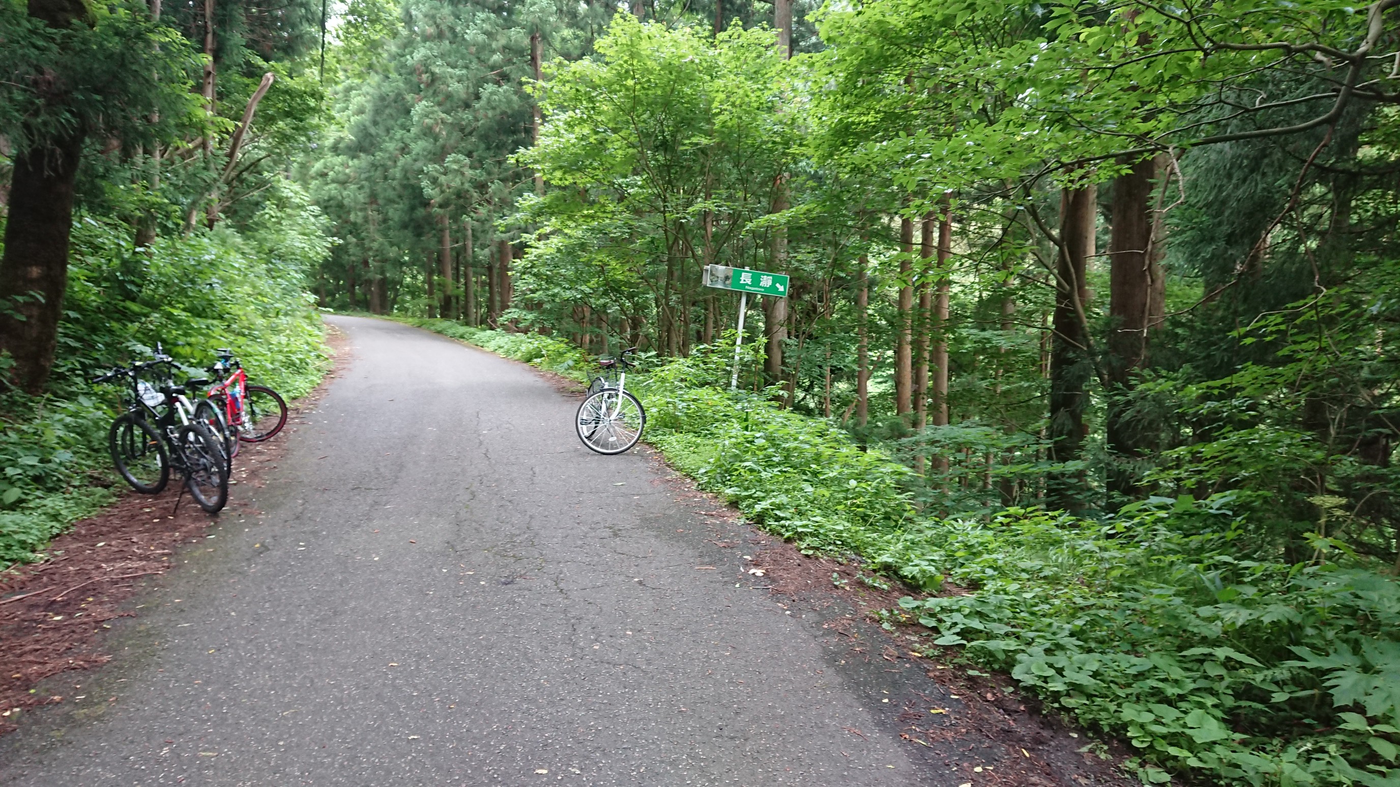 木六山・銀次郎山 長瀞
高校生が泳いでましたので写真は
自分もここで泳いでました😄