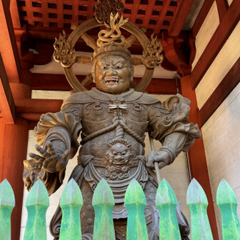 トンボは、前しか飛ばない