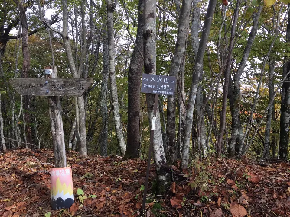 ハセツネcup 日本山岳耐久レース 71 5kmコース の登山ルート コースタイム付き無料登山地図 Yamap ヤマップ