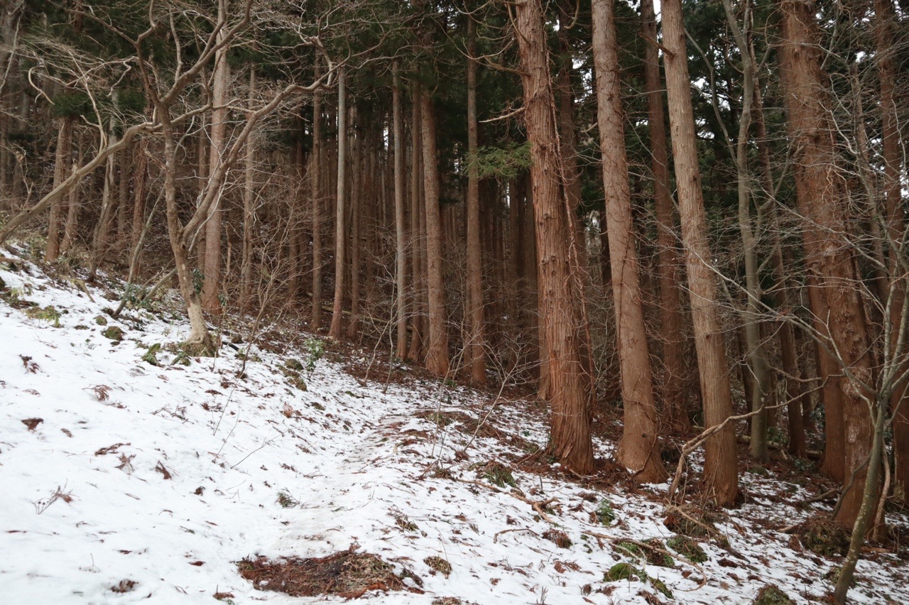 ボーナスステージ函館山 ポントモさんの函館山の活動日記 Yamap ヤマップ