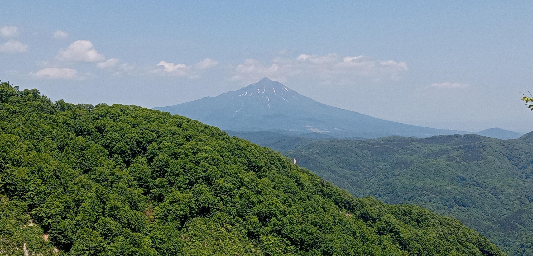 高倉森 / じゃまさんさんの高倉森の活動データ YAMAP / ヤマップ