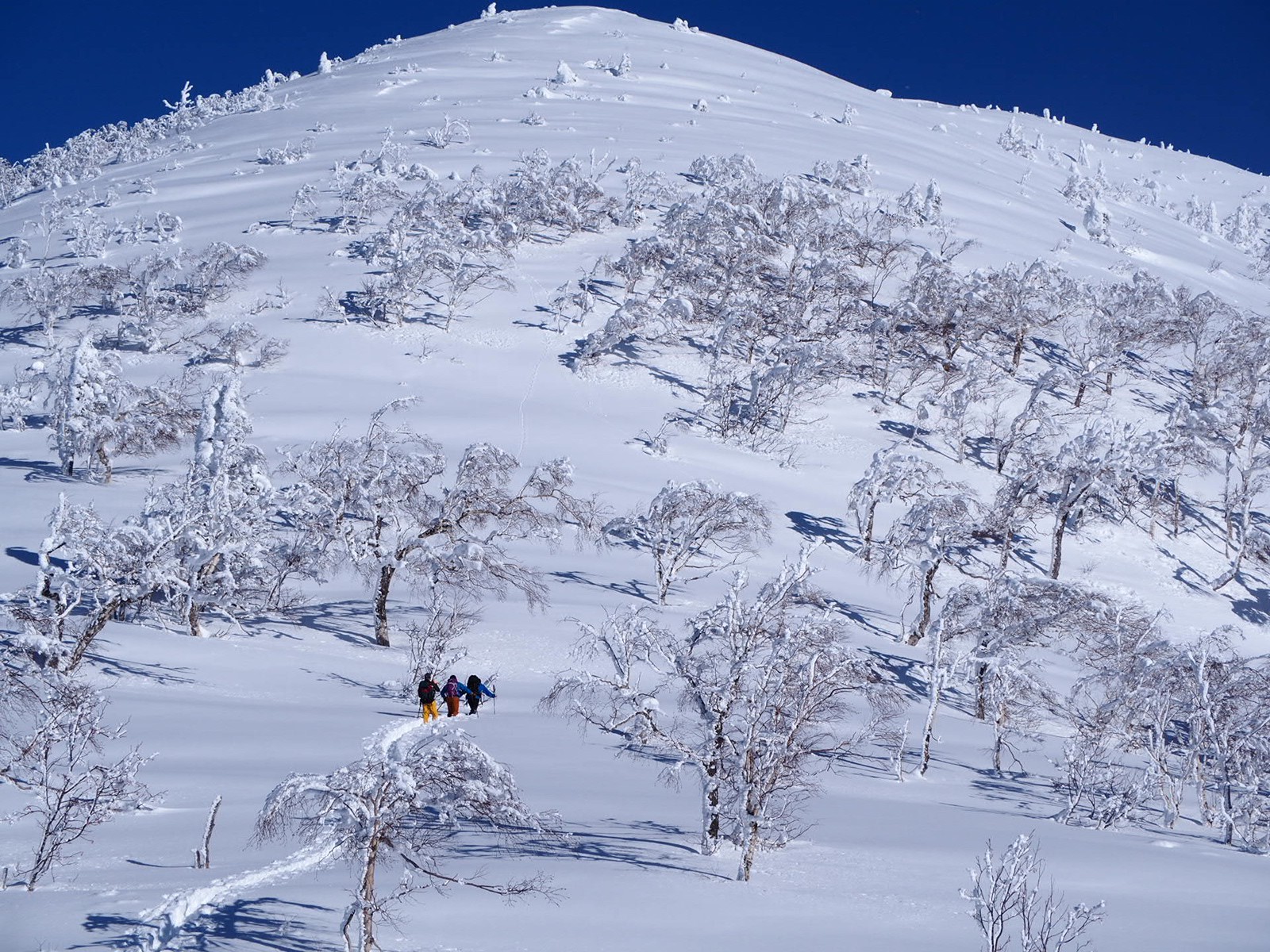 チトカニウシ山 北見峠 篤志46さんのチトカニウシ山の活動データ Yamap ヤマップ