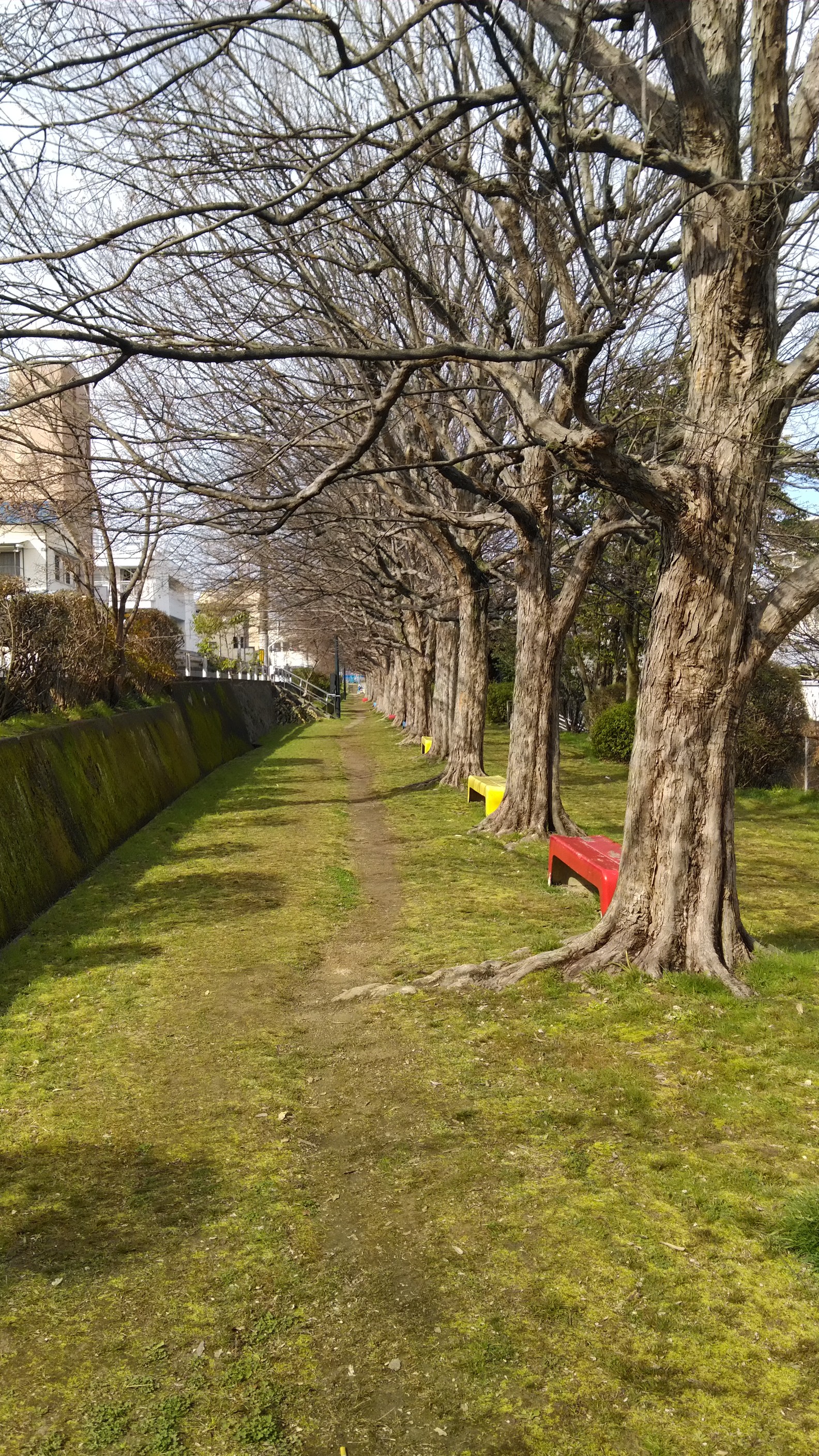 広島市 03 01ウォーキング向洋駅からゴールはカフェ43 6kのパンチョさんの広島市の活動データ Yamap ヤマップ