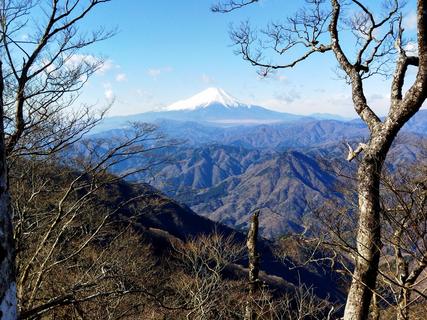 丹沢最高 激下り 蛭ヶ岳 きよ か わさんの丹沢山の活動日記 Yamap ヤマップ