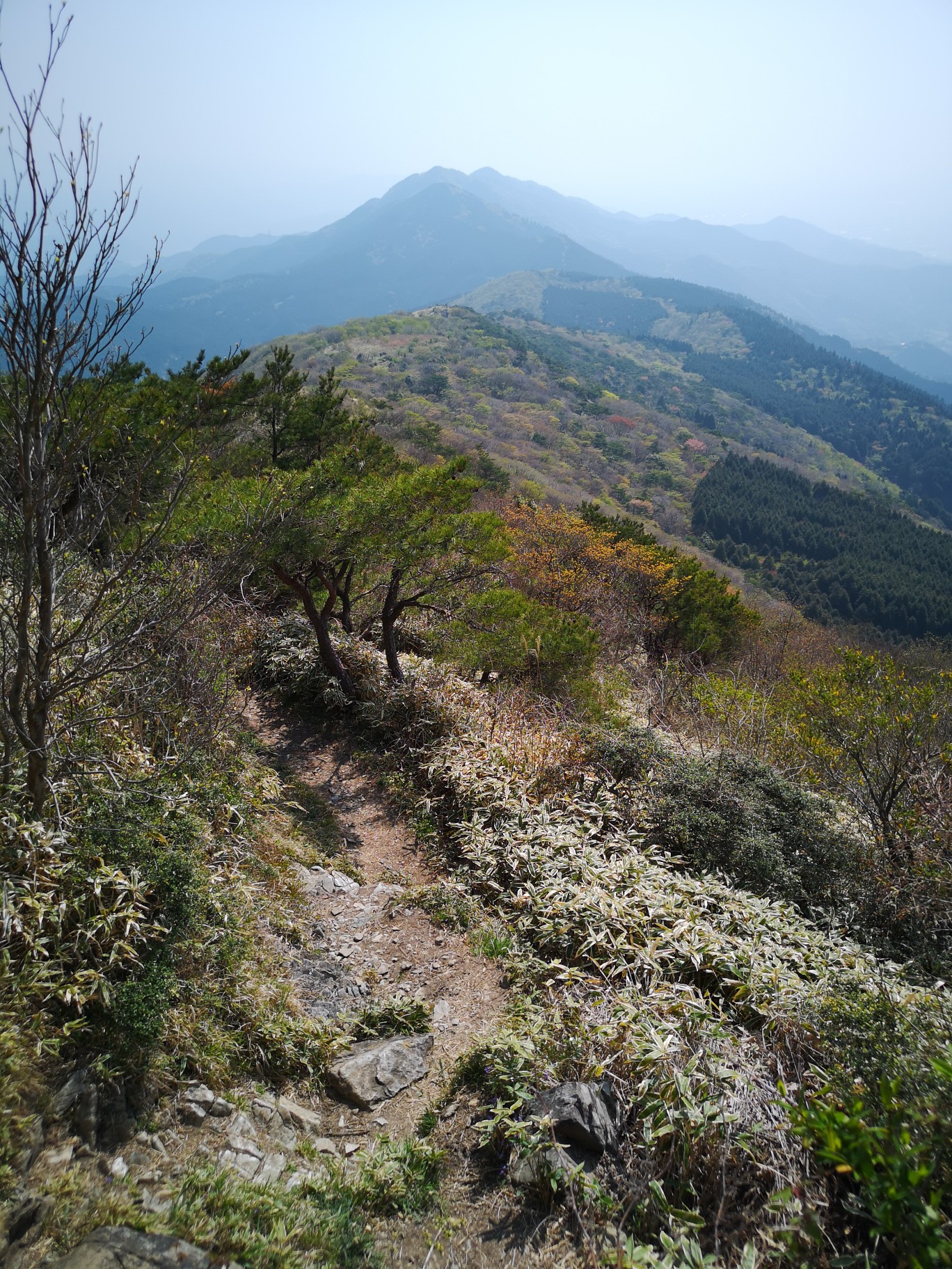 天山(佐賀県)20190420 / あさちゃんさんの天山（佐賀県）の活動データ YAMAP / ヤマップ