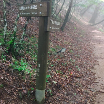 御堂峠分岐
薄日が一瞬さして