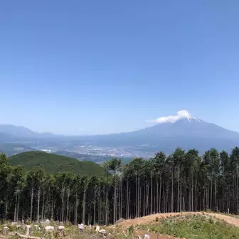 金丸山山頂付近から富士山。
