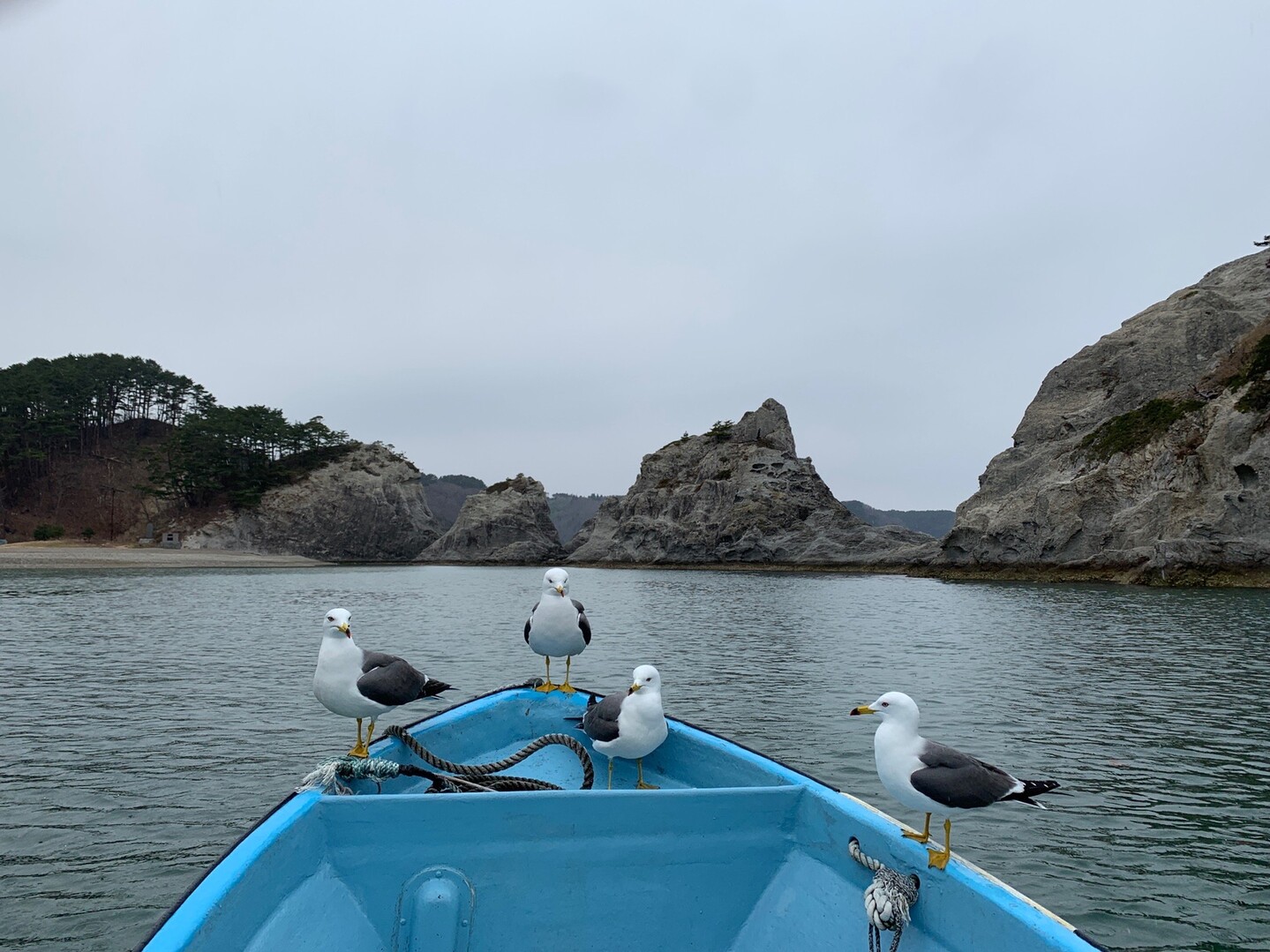 県 市 天気 宮古 岩手