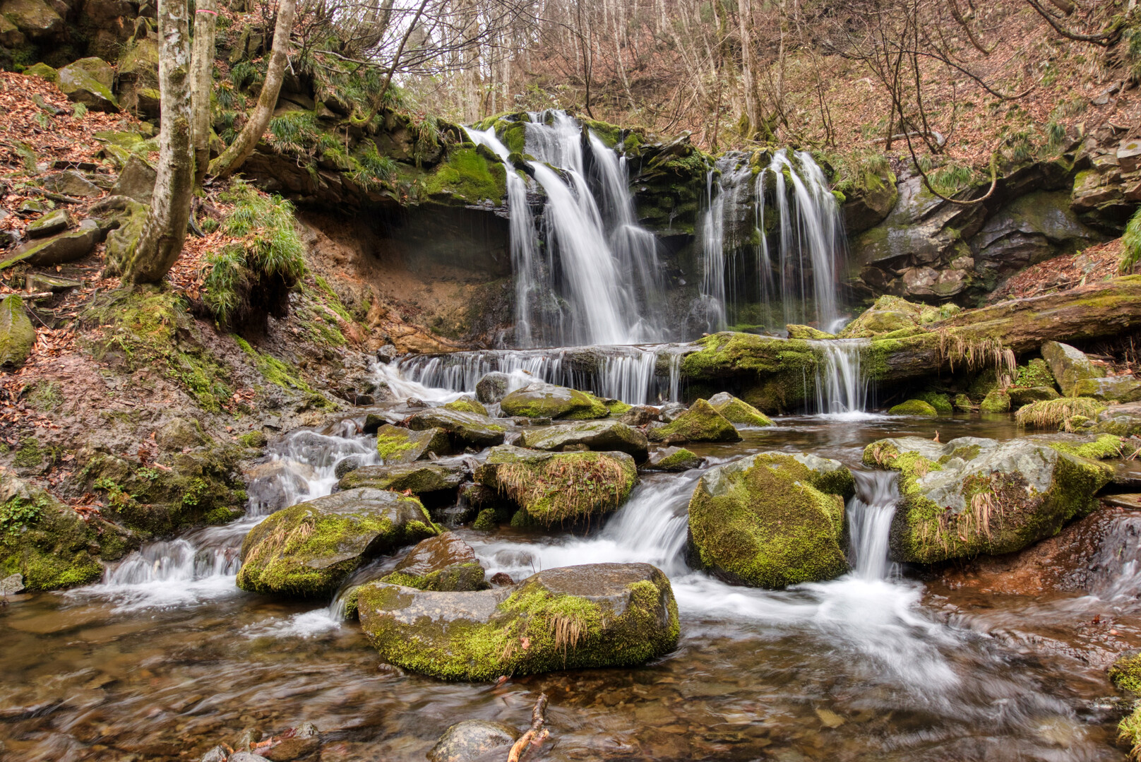 さるボッチ さるオッチ 猿壺の滝 猿尾滝 Persさんの扇ノ山の活動日記 Yamap ヤマップ