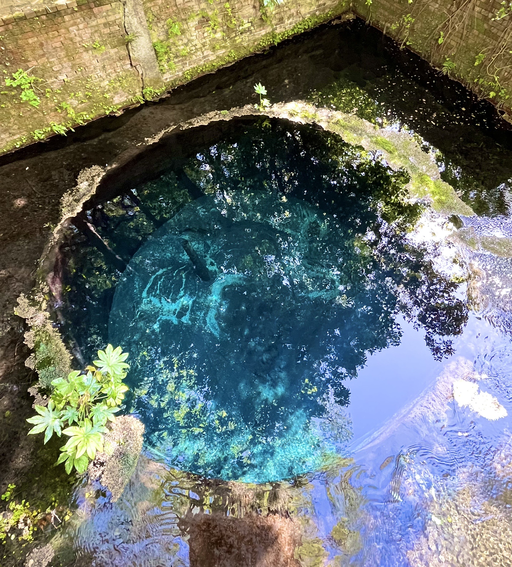 自然の神秘 ブルーホール ｷｬｰ ゆう さんのモーメント Yamap ヤマップ