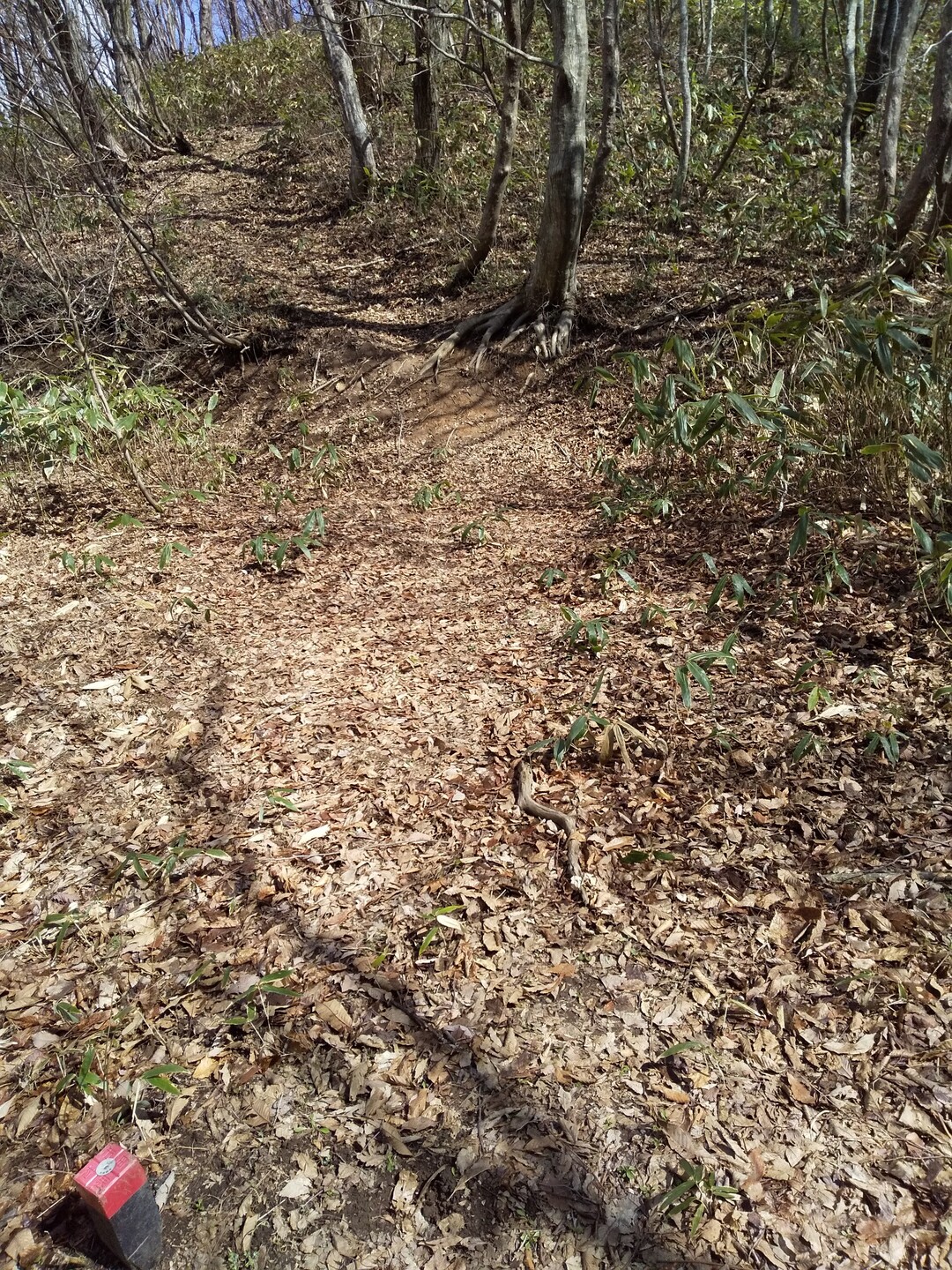 6座縦走 ヤマッパーさんとの出会い登山 Aluminumさんの天狗石山 阿佐山 安佐山 三ツ石山の活動日記 Yamap ヤマップ