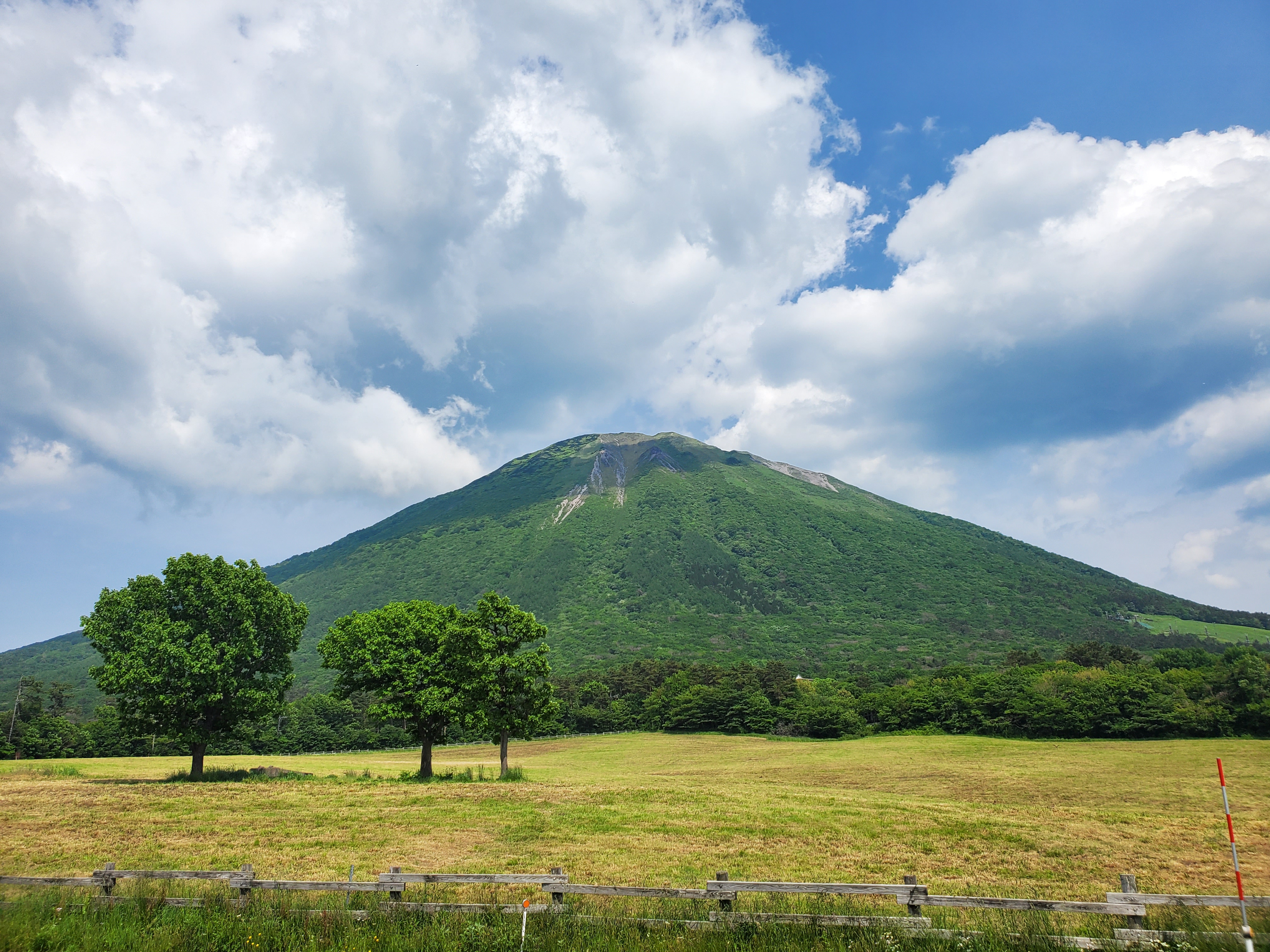 大山 弥山 豪円山のろし台 トレラン初心者さんの大山 鳥取県 甲ヶ山 野田ヶ山の活動データ Yamap ヤマップ