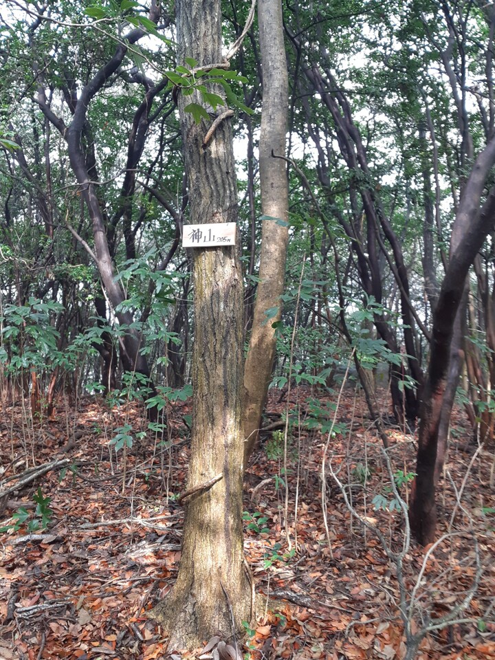 神山（岡山県）の最新登山情報 / 人気の登山ルート、写真、天気など YAMAP / ヤマップ